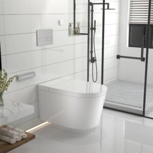 WC_Pott_ Japanese Toilet